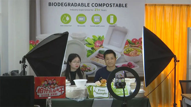 biodegradable compostable tableware