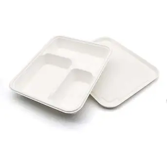 https://www.luzhou-pack.com/uploads/image/20230324/16/3-compartment-food-tray-eco-friendly-good-locking-biodegradable-heat-resistant-take-out-bagasse-fiber.webp