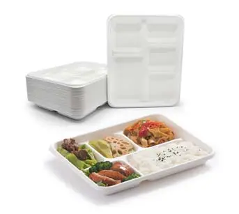 https://www.luzhou-pack.com/uploads/image/20230324/16/5-compartment-disposable-lunch-tray-sugarcane-bagasse-fiber-sustainable-portable-oil-proof-wholesale-to-go.webp