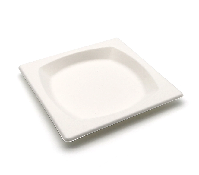 disposable salad plates
