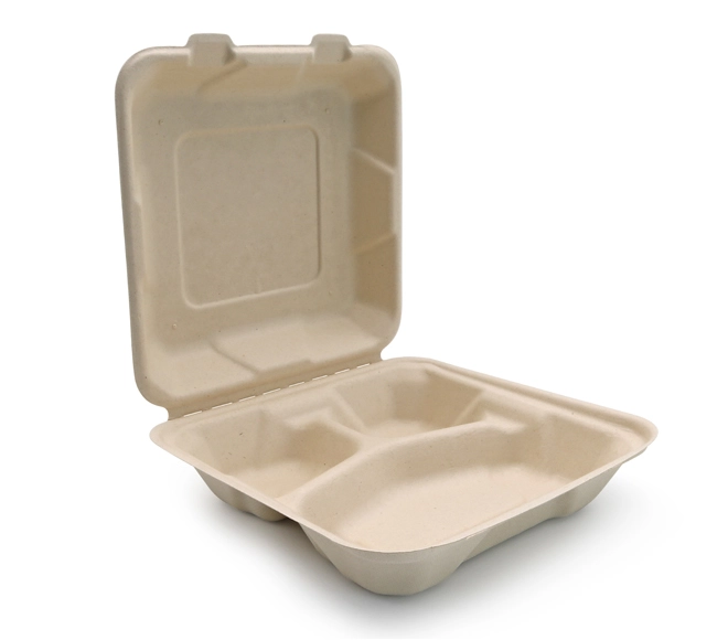 lunch box bagasse
