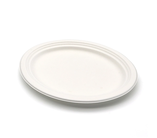 cake disposable plates