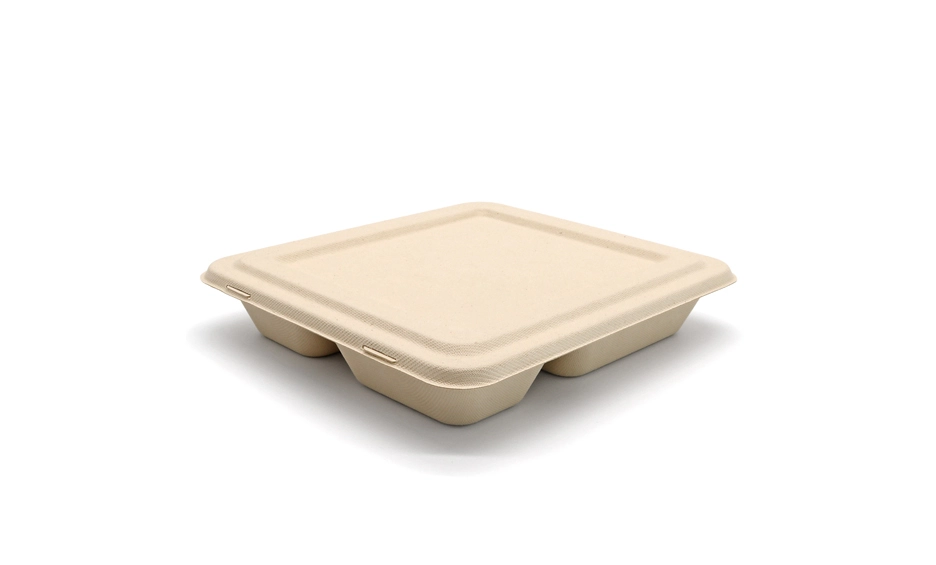 Compostable Containers 4 5 6 Compartments Lunch Meat Fruits Sugarcane Trays  for Food Microwave Food Container Dinner Plate Cutlery Paper Plates Burger  Boxes - China Microwaveble Tray Biodegradable and Used Restaurant Plates