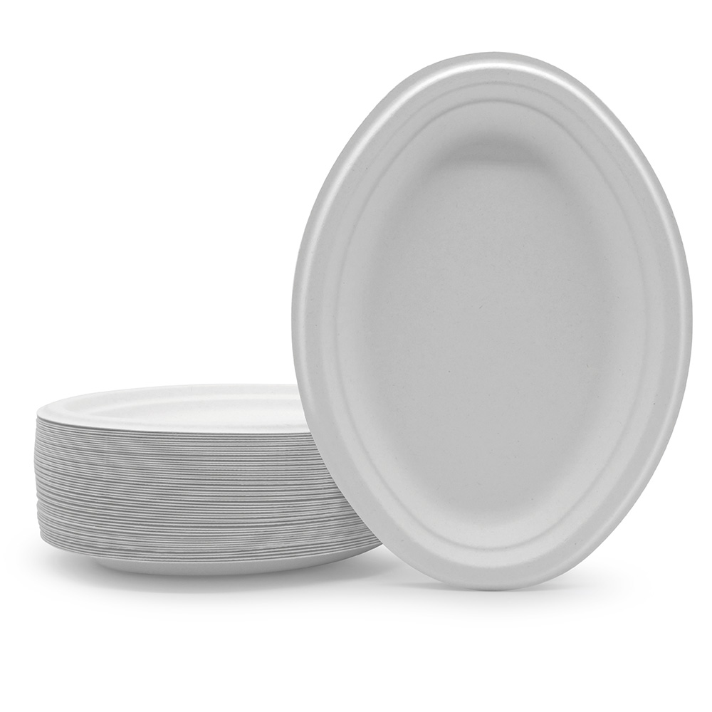 disposable plates for restaurants