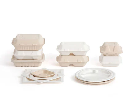 Sugarcane Plates: Disposable And Biodegradable