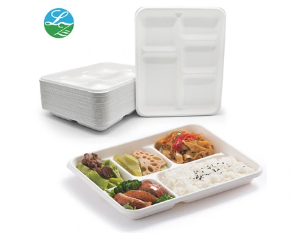 Wholesale Bagasse Trays: A Sustainable Choice for Your Business