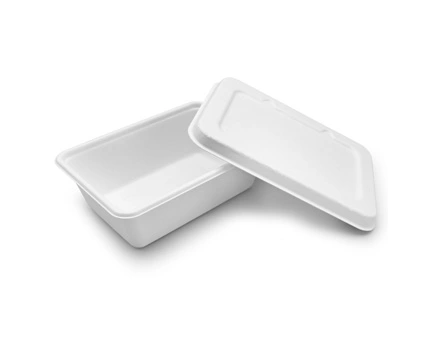 Embrace Sustainability with Wholesale Bagasse Cutlery: A Win for Business and the Planet