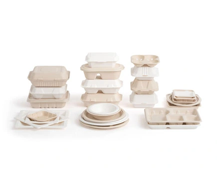 Green Future: The Importance of Wholesale Biodegradable Takeout Containers