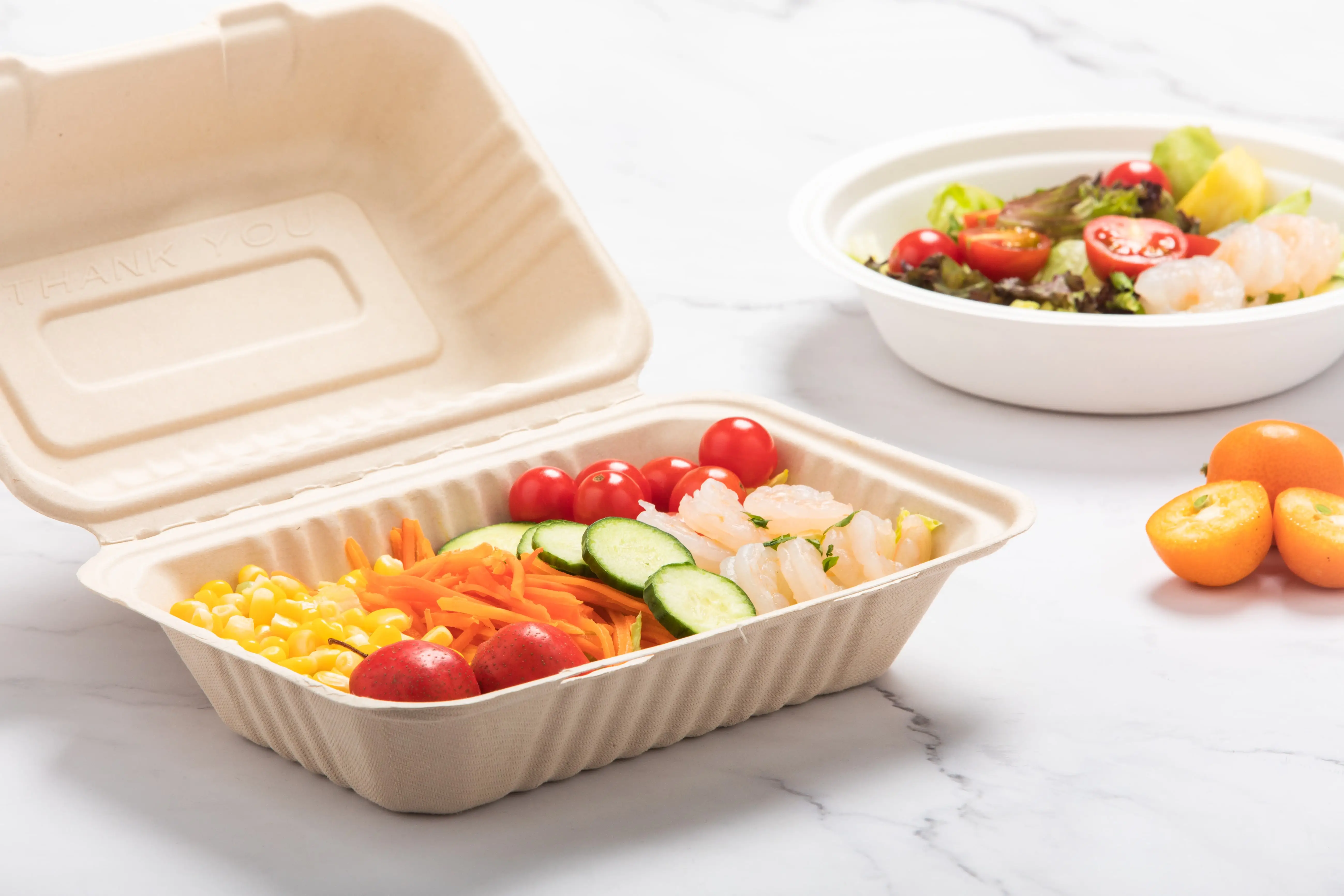 Mastering Biodegradable Takeout Containers Wholesale: Production, Application, and Proper Disposal