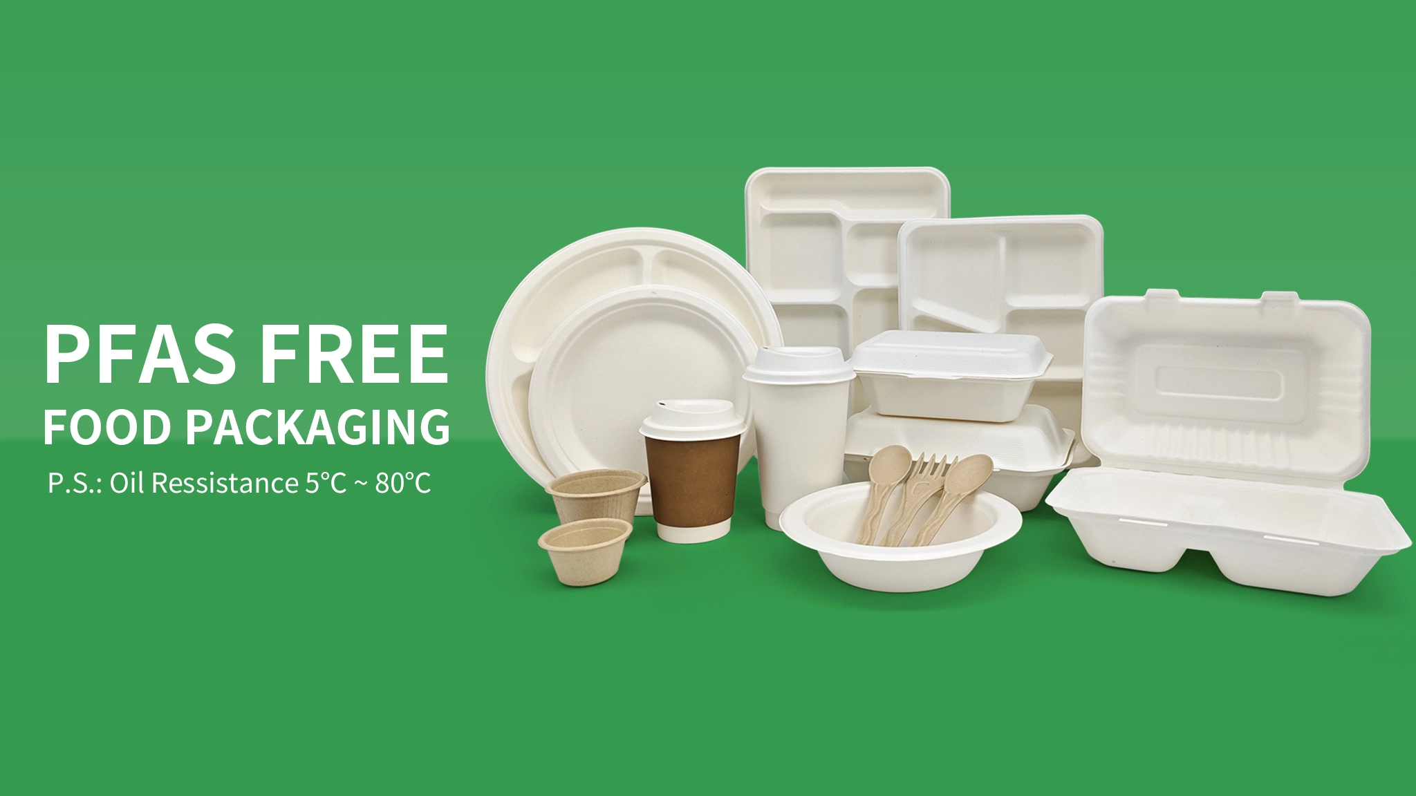 Wholesale Biodegradable Tableware: The Green Revolution for Stylish and Sustainable Dining