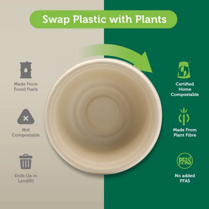 Disposable Food Bowls: A Comprehensive Exploration of Convenience, Composition, and Conscience